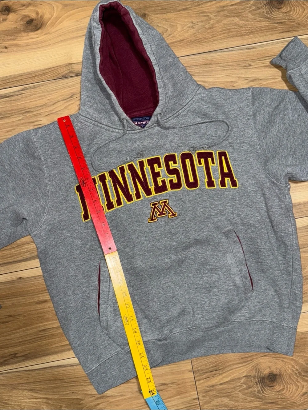 Vintage Y2K University Of Minnesota Champs Tag Embroidered Hoodie Drawstring S